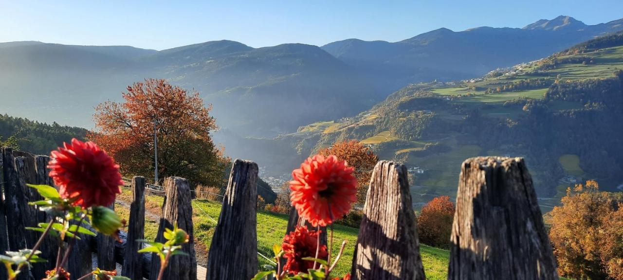 Moarhof Gufidaun Διαμέρισμα Κιούζα Εξωτερικό φωτογραφία